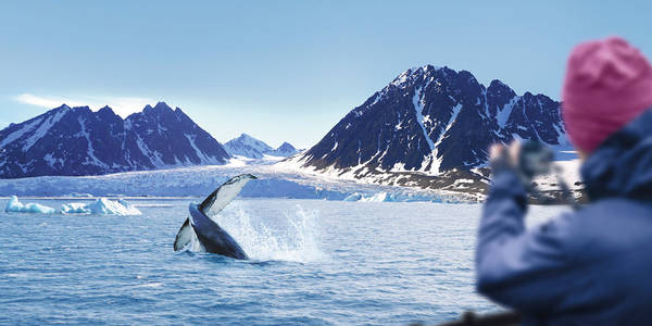 All antartica & arctic cruises