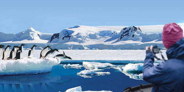 All arctic & antarctic cruises