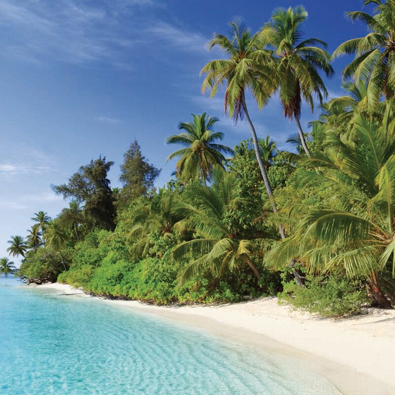 Festive days in idyllic island worlds