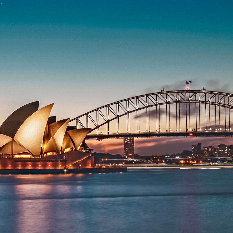 Set course for kangaroos, koalas and kiwis