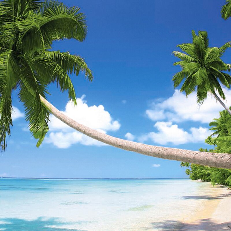 Idyllic settings in the Pacific
