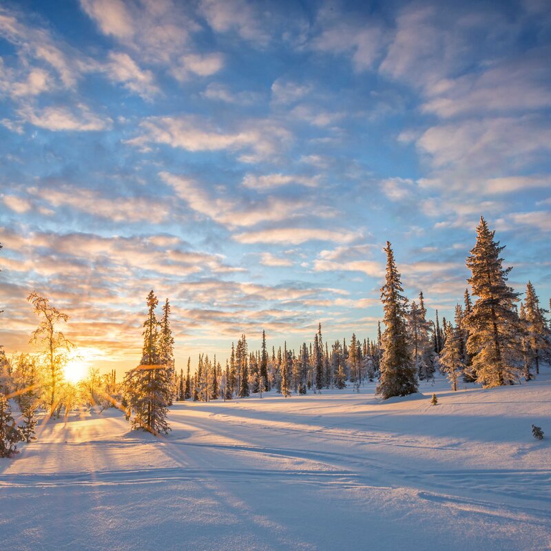 Winter adventure Lapland: Scandinavia's winter wonderland								