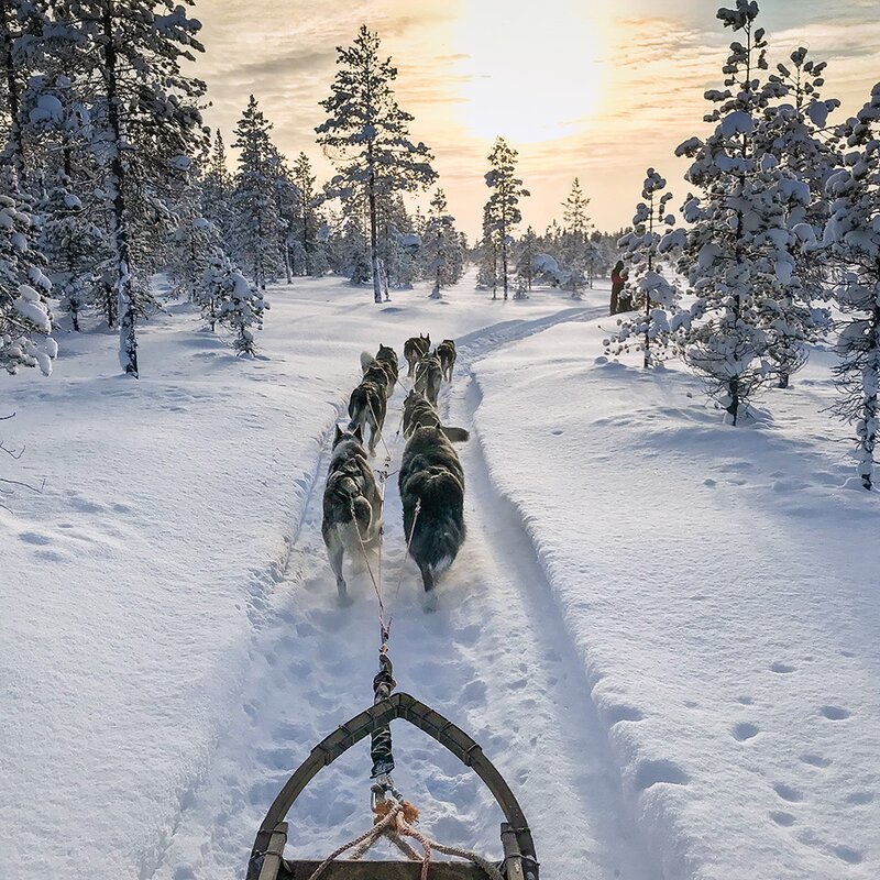 Winter adventure Lapland: Scandinavian terra incognita