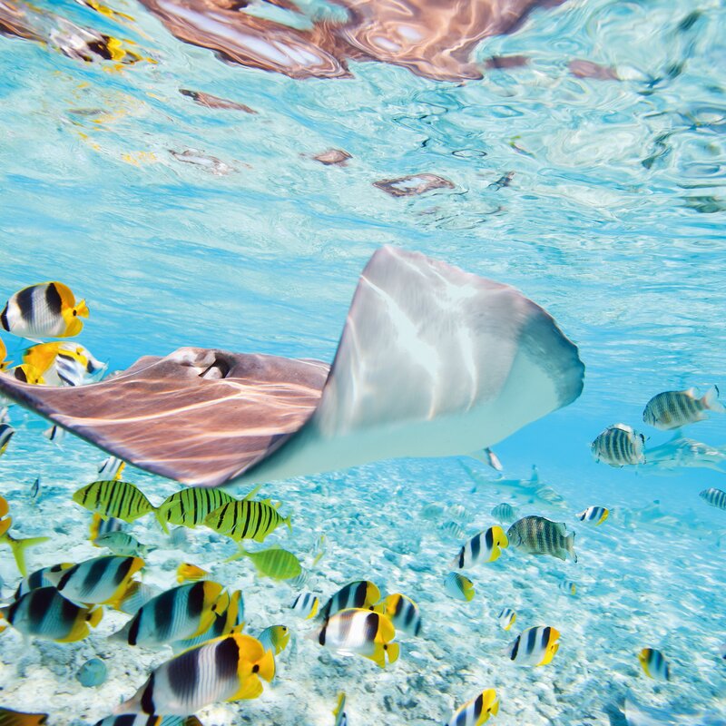 Expedition South Seas: dream destinations in pastel shades