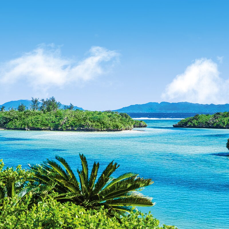 Expedition “South Seas of Japan”: the yin and yang of paradise islands